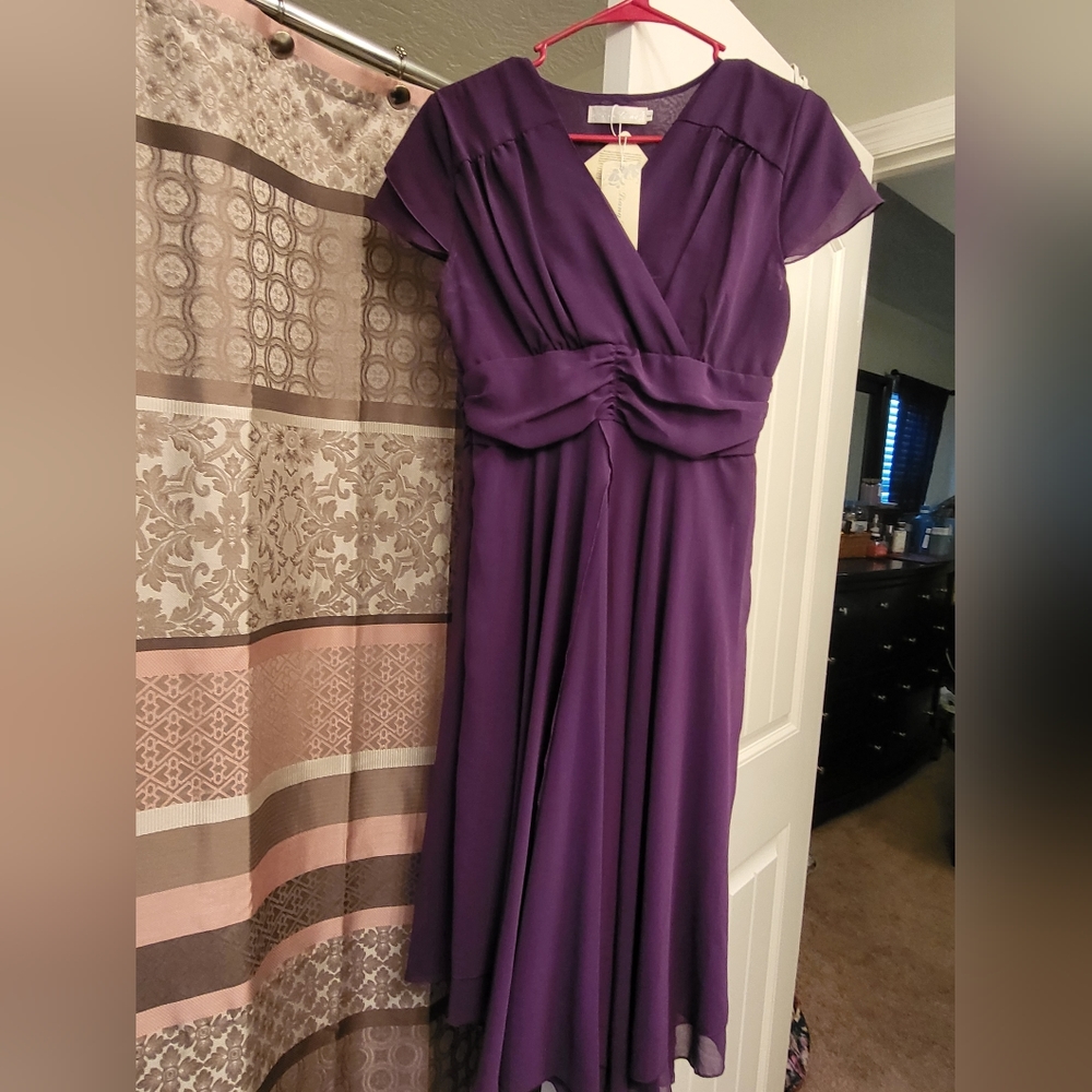 Liang Liang Dress, Size Large, Purple